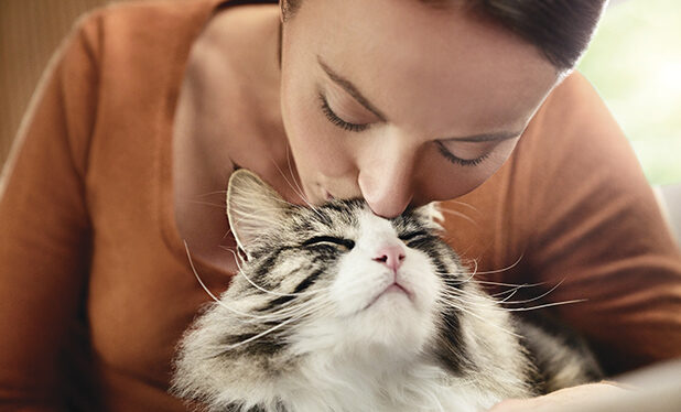 CISK - Ensimmäinen allergeenejä vähentävä kissanruoka